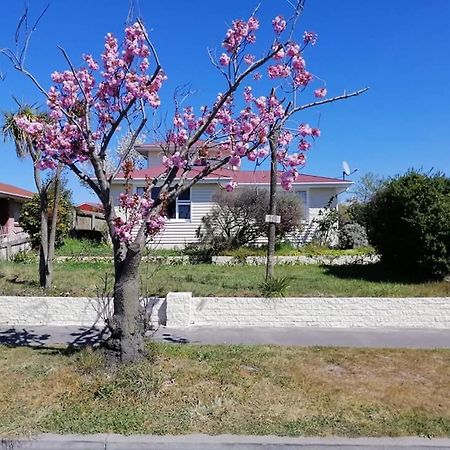 Homestay Double Room, Near The City Center Christchurch Extérieur photo