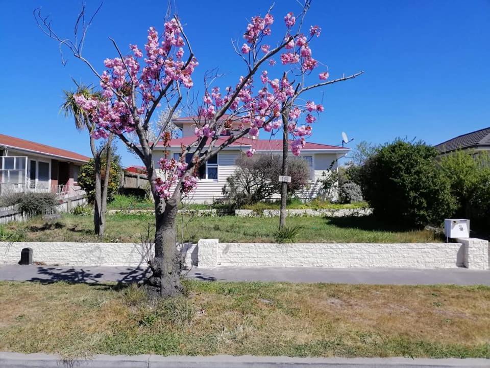 Homestay Double Room, Near The City Center Christchurch Extérieur photo